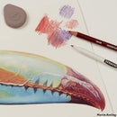 Derwent Pastel Portrait Skin Tones Pencils Drawing & Writing Colouring Pencils For Portrait Drawing Ideal For Blending & Detailing Professional Quality - Tin Set of 12