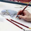 Derwent Pastel Portrait Skin Tones Pencils Drawing & Writing Colouring Pencils For Portrait Drawing Ideal For Blending & Detailing Professional Quality - Tin Set of 12