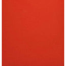 Favini Prismacolour Carton Sheets – Vibrant Coloured Paper, 220gsm, 100x70 cm