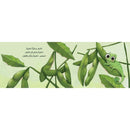 Arabic Children Story Book كتاب قصص للأطفال كاميلا تبحث عن وظيفة بالعربية