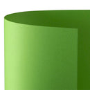 Favini Prismacolour Carton Sheets – Vibrant Coloured Paper, 220gsm, 100x70 cm