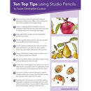 أقلام رصاص مفردة ملونة عالية الجودة ديروينت ستوديو