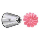 Wilton Round, Petal, Drop Flower, Grass, Weave & Open Star Decorating Tips