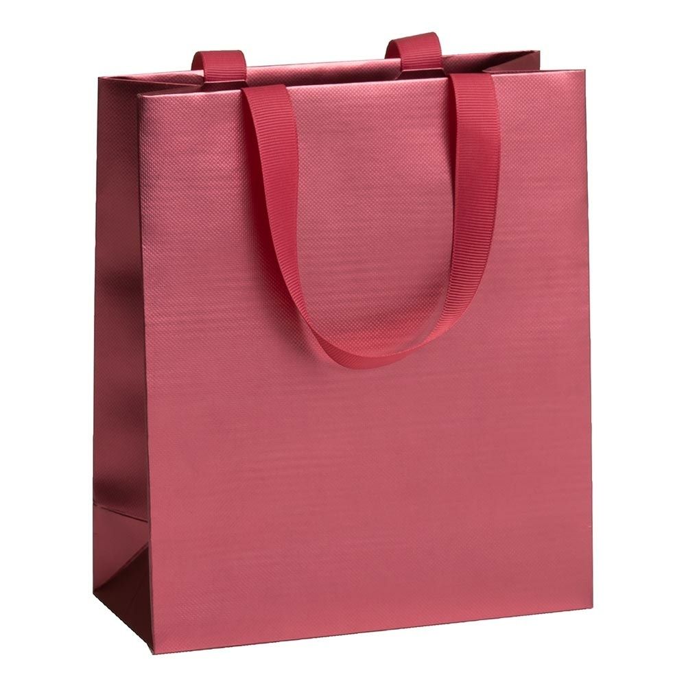 Stewo 18x8x21cm Metallic Small Gift Bag - Pack of 1