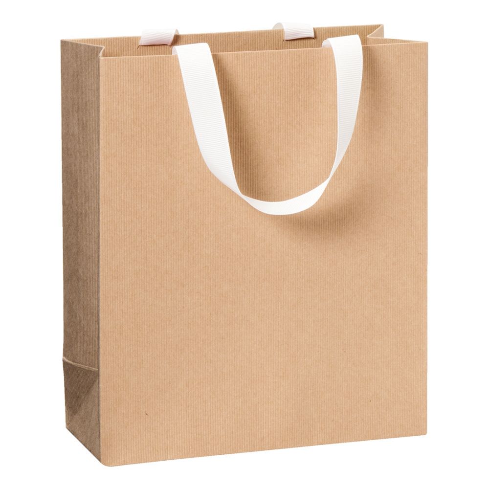 Stewo 18x8x21cm Small Gift Bag - Pack of 1