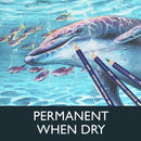 Derwent Inktense Permanent Watercolour Pencils 4mm Premium Core Water-Soluble Ideal for Colouring Painting and Crafting Professional Quality - Tin Set