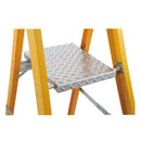 Professional Ladder with Platform