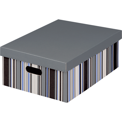 Nips Office Multipurpose Box with Lid 25x33x18.5 cm  - A4