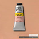 Winsor & Newton Acrylic Colors (60 ml) - Brown Range