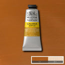 Winsor & Newton Acrylic Colors (60 ml) - Brown Range