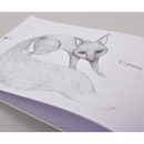 Favini BiancoFlash Premium 700g  Poster Board 50x70 cm - White