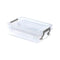 NEW Whitefurze 0.55L Allstore Transparent Storage Box with Lid 18 x 11 x 5 CM