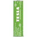 NEW TESLA Future Batteries Rechargable+ AA - Pack of 4