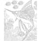 Dreamland Publications Ocean Adult Coloring Book - 30 Sheets