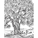 Dreamland Publications Countryside Adult Coloring Book - 30 Sheets