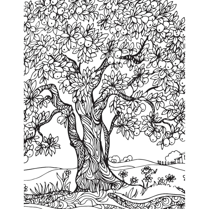 Dreamland Publications Countryside Adult Coloring Book - 30 Sheets