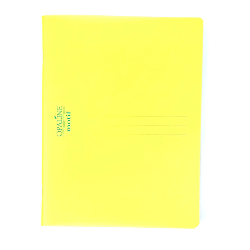 NEW Bassile French School Grid Notebooks 96 Sheets - A5