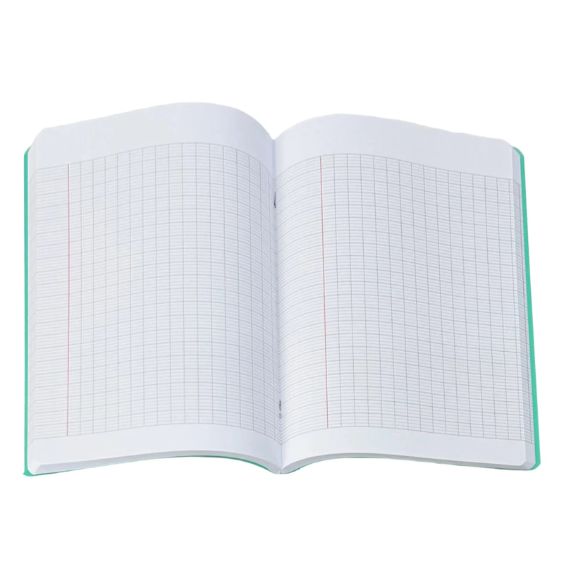 NEW Bassile French School Grid Notebooks 96 Sheets - A5