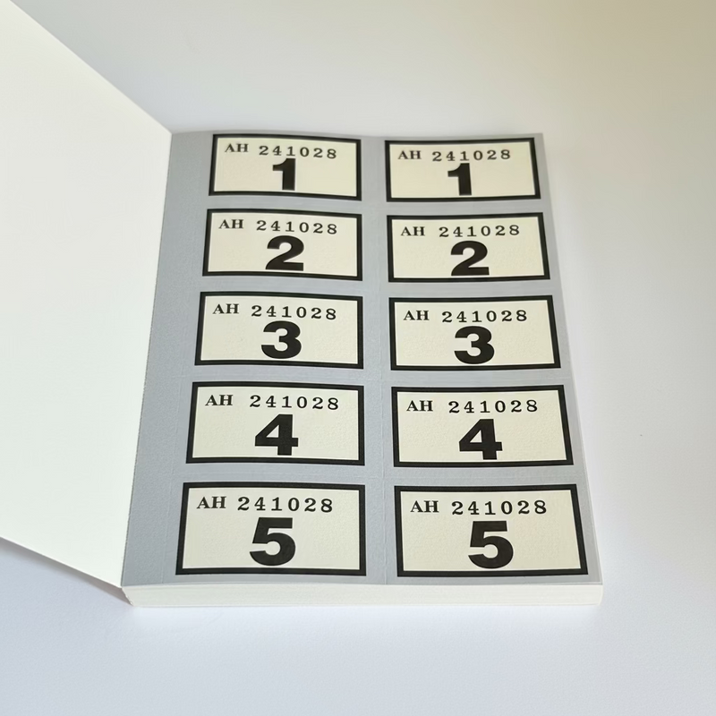 Design Group Raffle & Cloakroom Ticket Book / 1-500