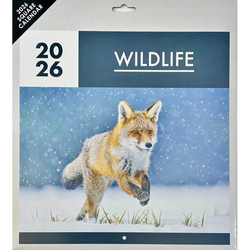 NEW IG Design 2026 Square Wall Calendar with Pictures - Wildlife
