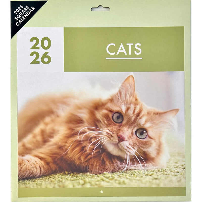 NEW IG Design 2026 Square Wall Calendar with Pictures - Cats