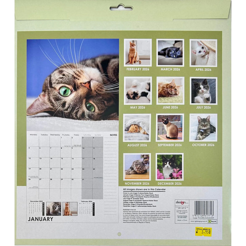 NEW IG Design 2026 Square Wall Calendar with Pictures - Cats