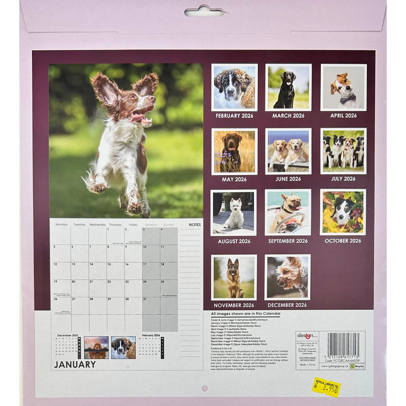 NEW IG Design 2026 Square Wall Calendar with Pictures - Dogs
