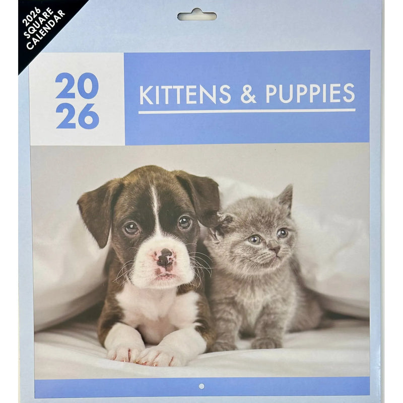 NEW IG Design 2026 Square Wall Calendar with Pictures - Kittens & Puppies