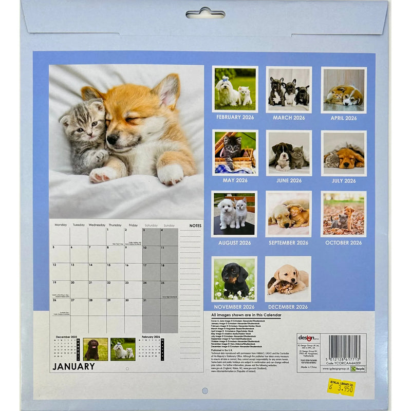 NEW IG Design 2026 Square Wall Calendar with Pictures - Kittens & Puppies