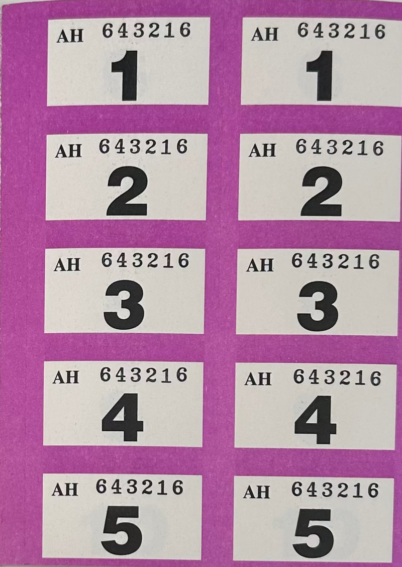 Design Group Raffle & Cloakroom Ticket Book / 1-1000