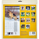 IG Design 2024 Square Wall Calendar with Pictures -  Dogs