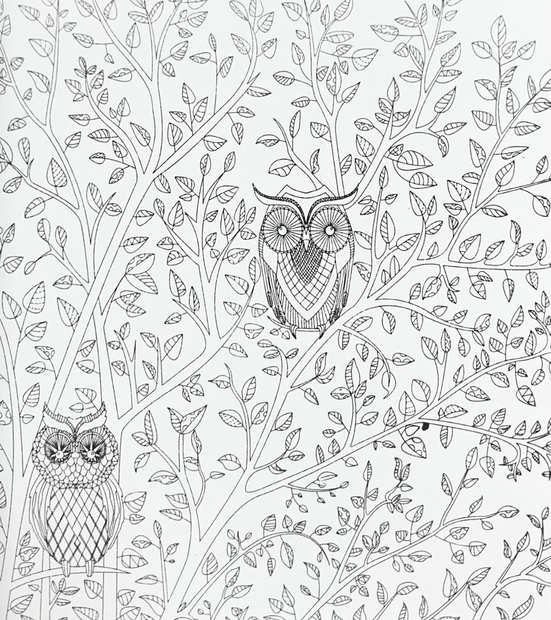 ILC Adult Coloring Book