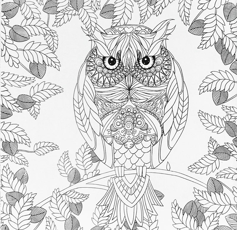 ILC Adult Coloring Book