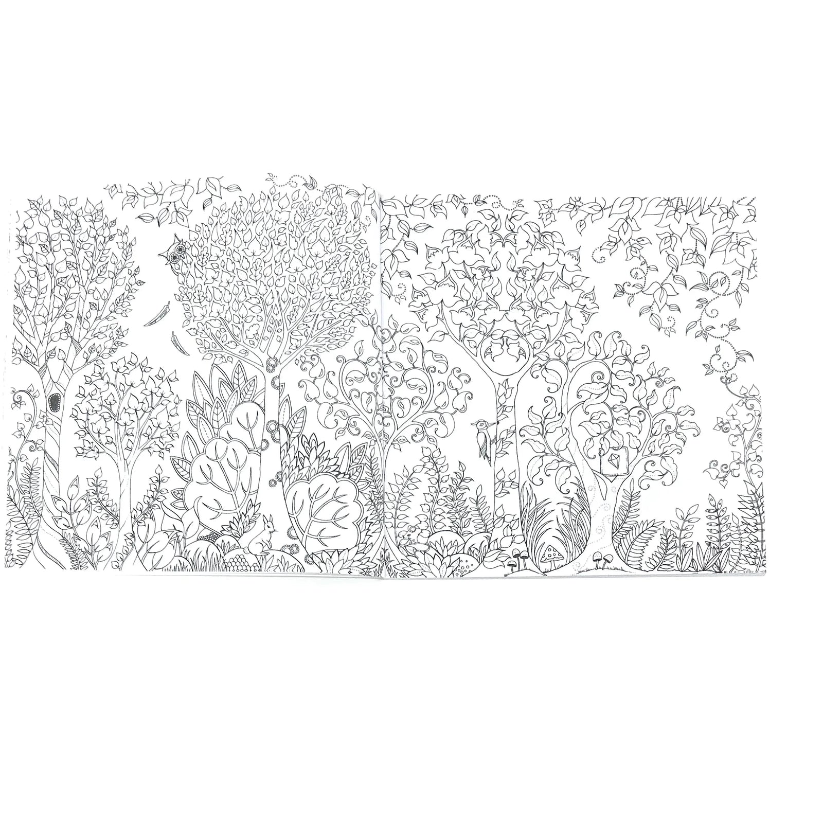 ILC Adult Coloring Book ILC Adult Coloring Book