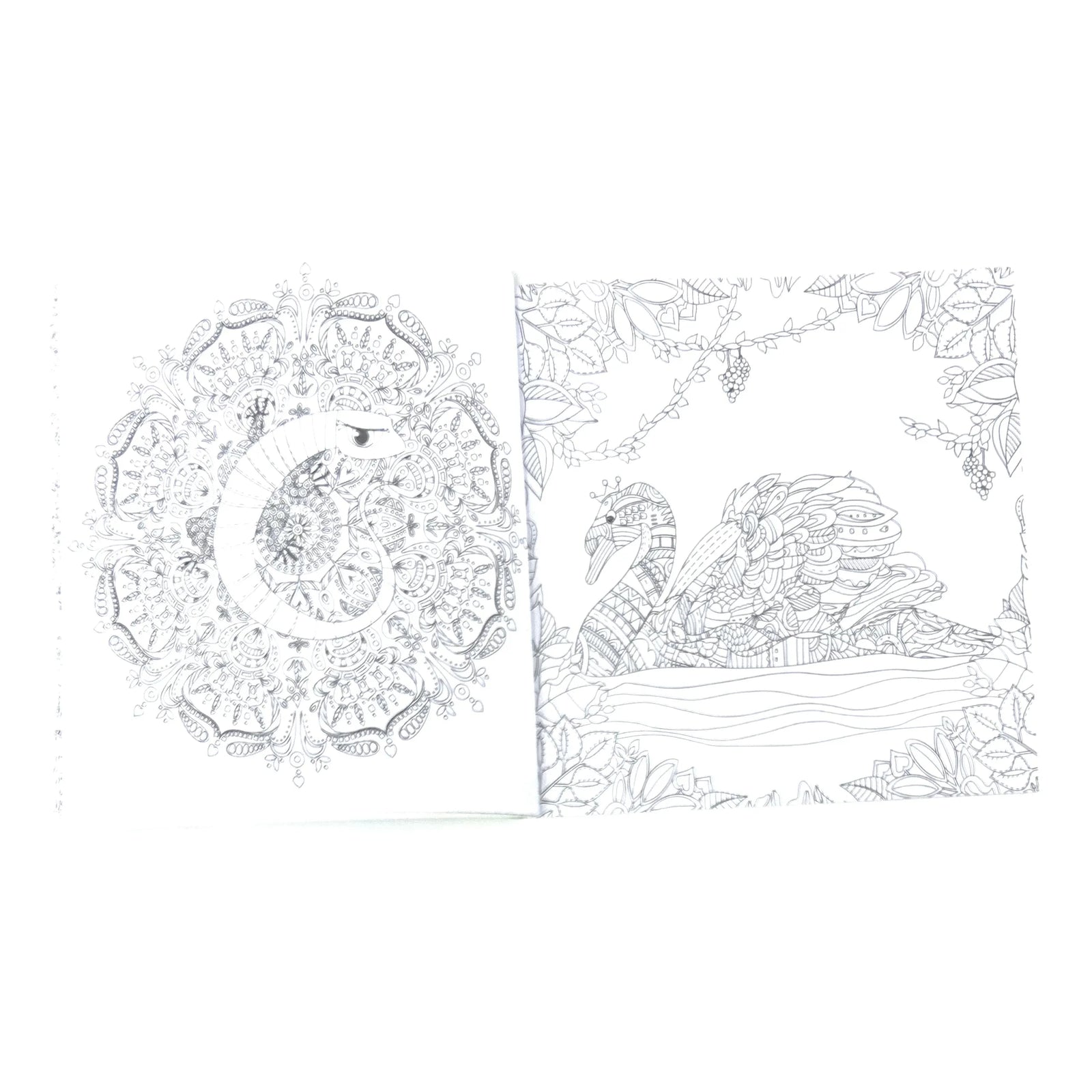 ILC Adult Coloring Book ILC Adult Coloring Book