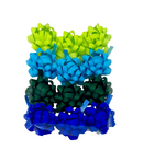 Packaged set of green, blue, and teal bows in a clear plastic bag on a white background