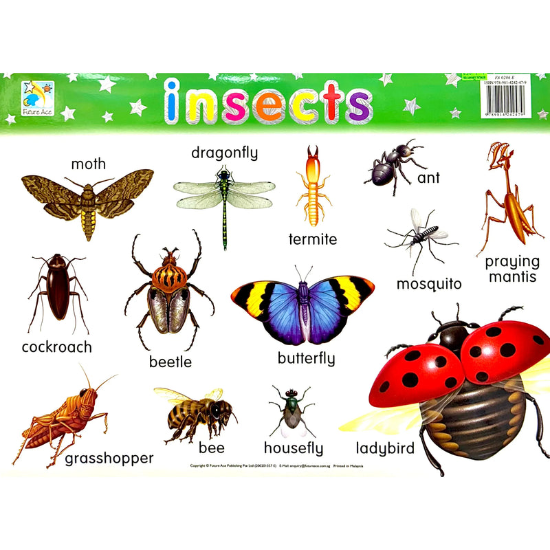 CampAp Laminated Educational Poster 48x36cm Insects – Istiklal Library