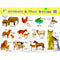 CampAp Laminated Educational Poster 48x36cm Animals & Babies