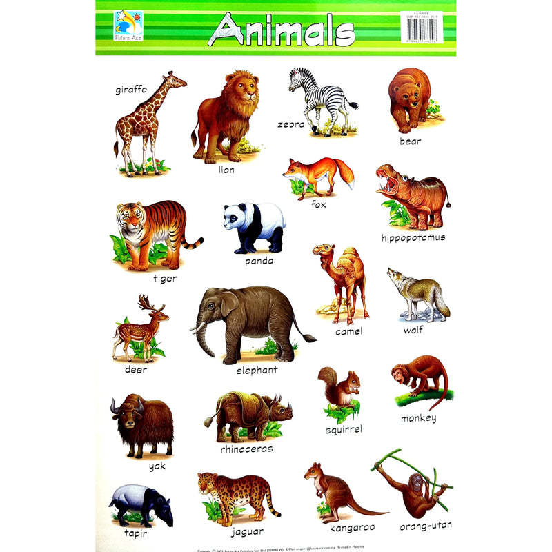 لوحة ايضاح تعليمية مصورة ملونة و مجلدة ٧٤×٥٠ سم - الحيوانات