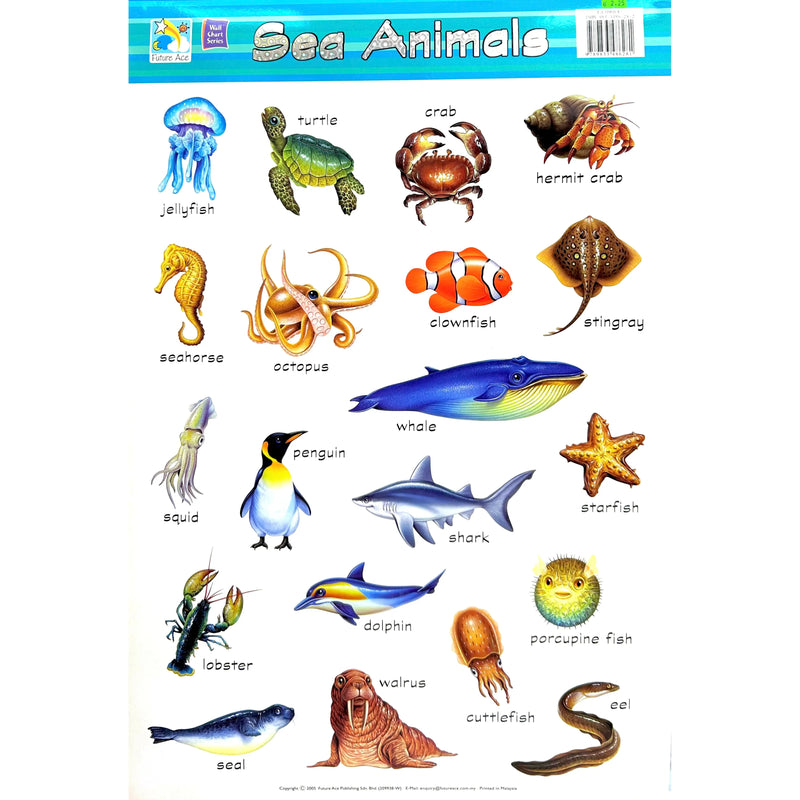 لوحة ايضاح تعليمية مصورة ملونة و مجلدة ٧٤×٥٠ سم - الحيوانات البحرية
