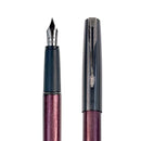 قلم حبر ريشة سائل باركر فرونتير خمري ميتاليك
