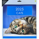 NEW IG Design 2025 Square Wall Calendar with Pictures - Cats