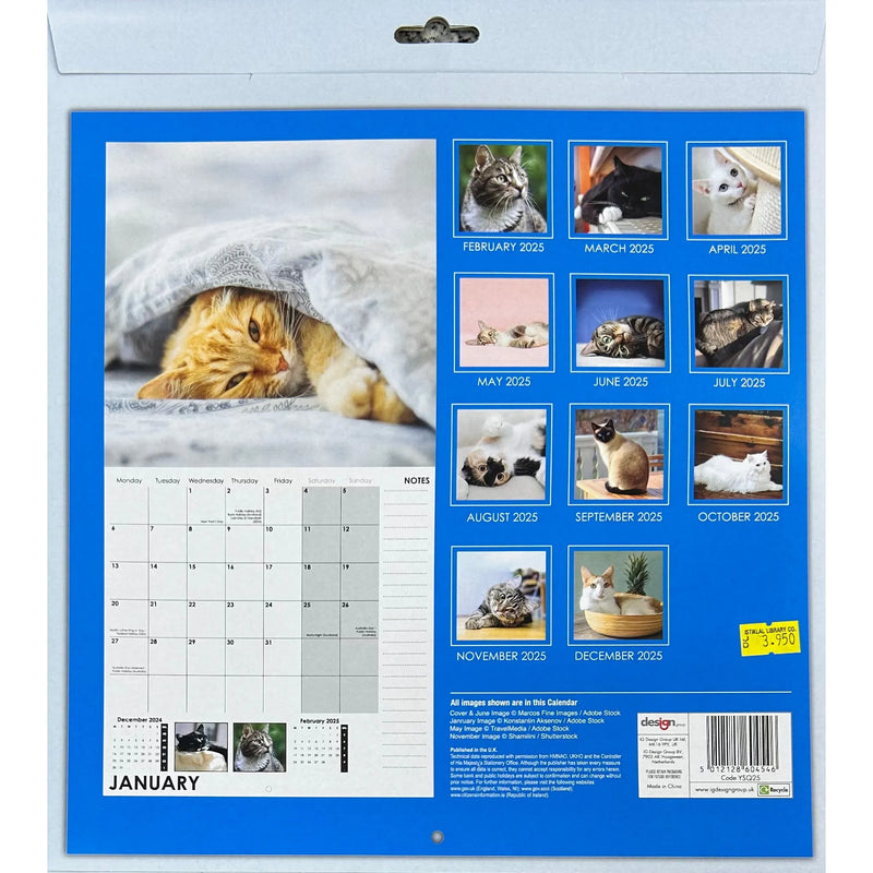 NEW IG Design 2025 Square Wall Calendar with Pictures - Cats