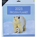 NEW IG Design 2025 Square Wall Calendar with Pictures - Frozen Planet