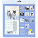 NEW IG Design 2025 Square Wall Calendar with Pictures - Frozen Planet