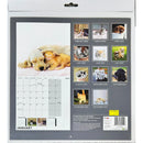 NEW IG Design 2025 Square Wall Calendar with Pictures - Kittens & Puppies