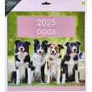 NEW IG Design 2025 Square Wall Calendar with Pictures -  Dogs