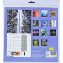 NEW IG Design 2025 Square Wall Calendar with Pictures - Above it All