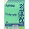 NEW Favini Certificates Paper Aralda Light Ivory A4 200g - 50 Sheets