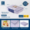 Micron Ware SUPER LOCK Anti-Bacterial 3 Dividers Lunch Box Tupperware with Lid 185x235x53mm